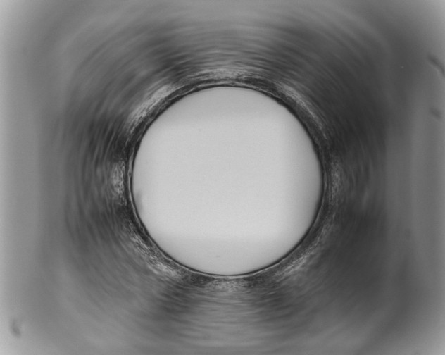 X0000099510778200806051146