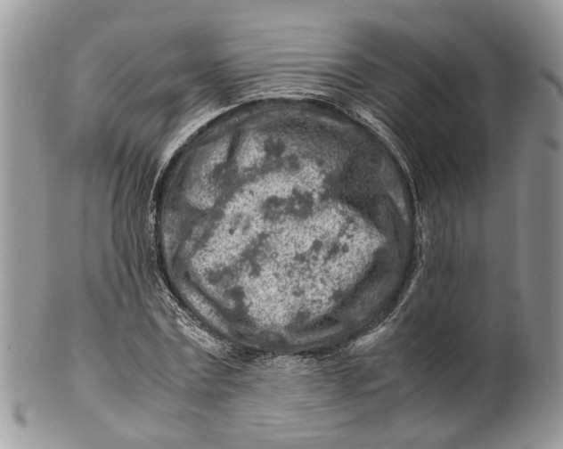 X0000099510779200806051146