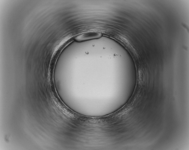 X0000099510780200806051146