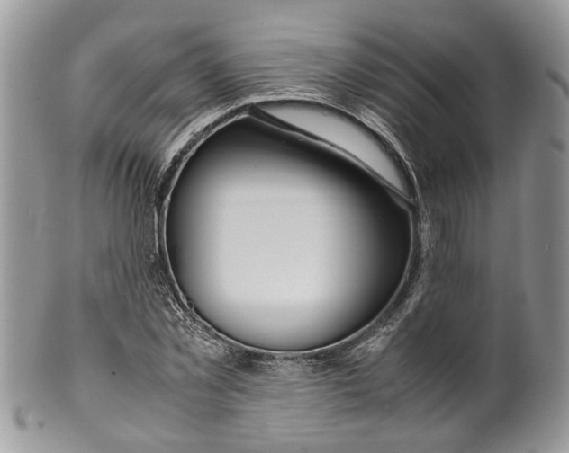 X0000099510781200806051146