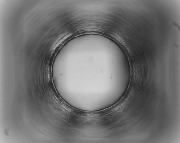 X0000099510782200806051146