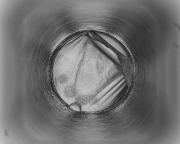 X0000099510783200806051146