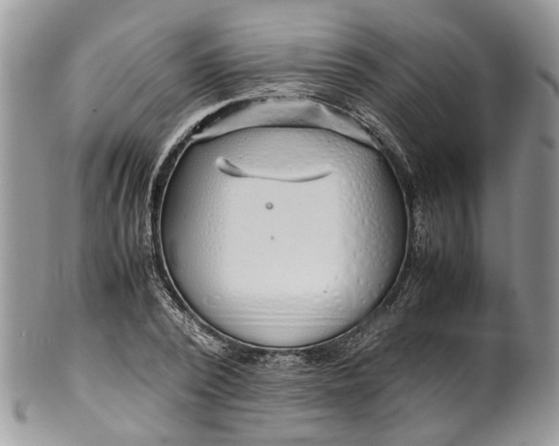 X0000099510784200806051146