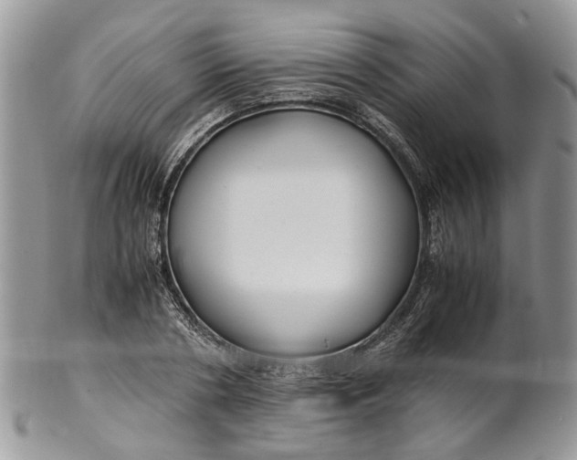 X0000099510786200806051146