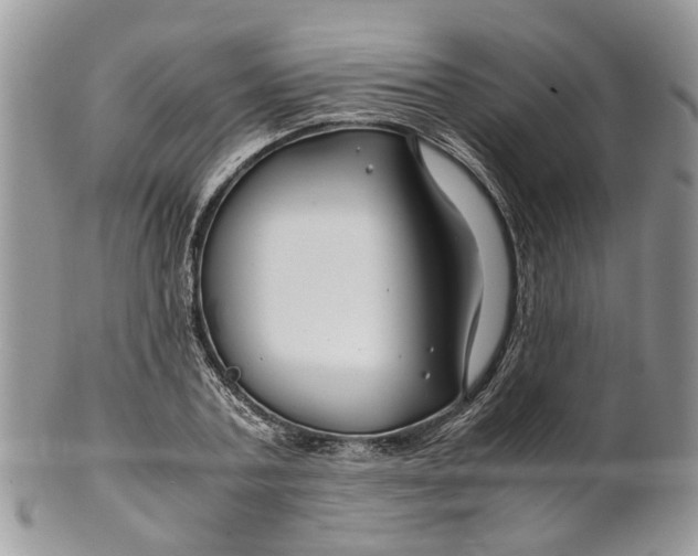 X0000099510787200806051146