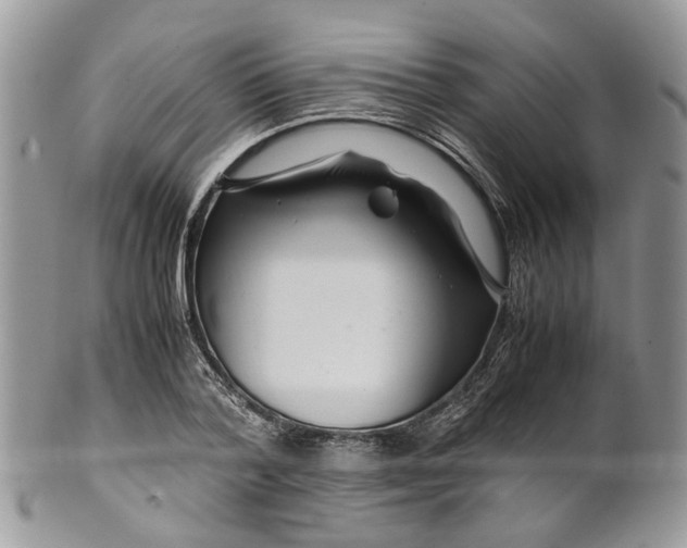 X0000099510788200806051146