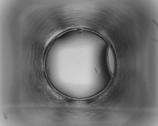 X0000099510789200806051146