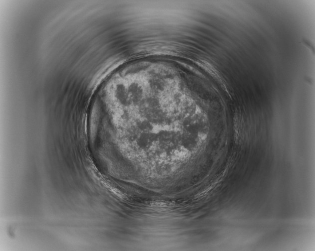 X0000099510790200806051146