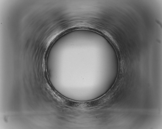 X0000099510791200806051146