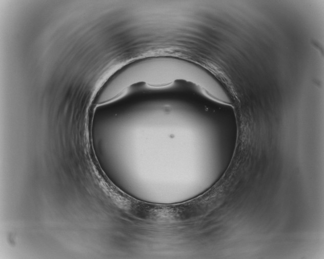 X0000099510792200806051146