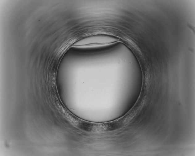 X0000099510793200806051146