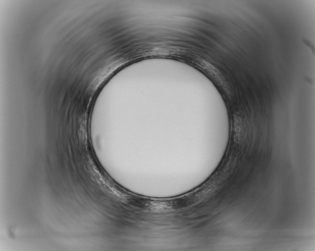 X0000099510794200806051146