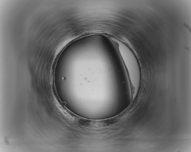 X0000099510795200806051146