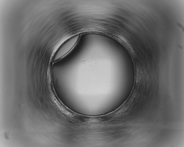 X0000099510796200806051146