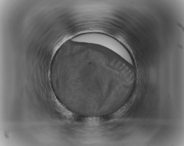 X0000099510797200806051146