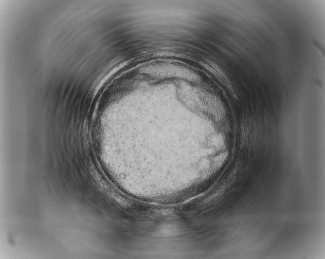 X0000099510798200806051146