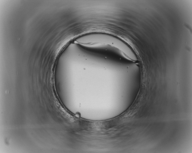 X0000099510799200806051146