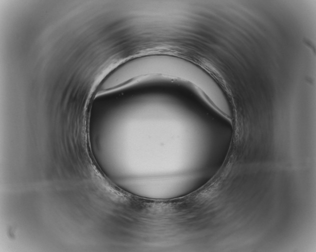 X0000099510800200806051146