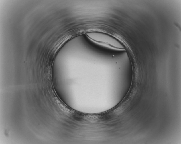 X0000099510801200806051146