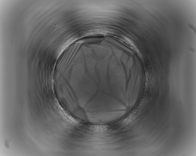 X0000099510802200806051146