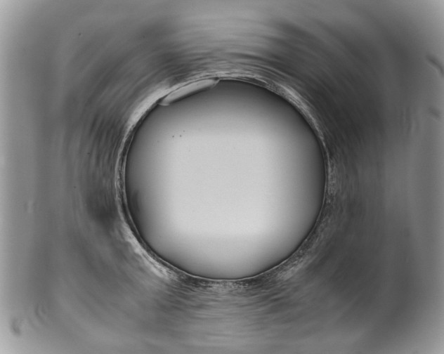 X0000099510803200806051146