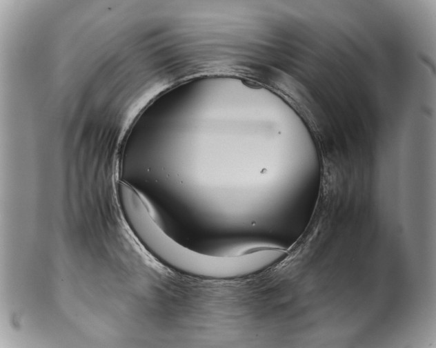 X0000099510804200806051146