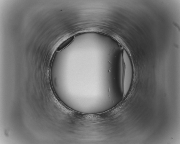 X0000099510805200806051146