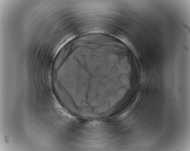 X0000099510806200806051146