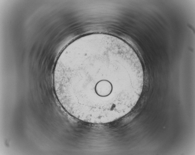 X0000099510807200806051146