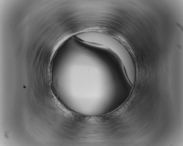 X0000099510808200806051146