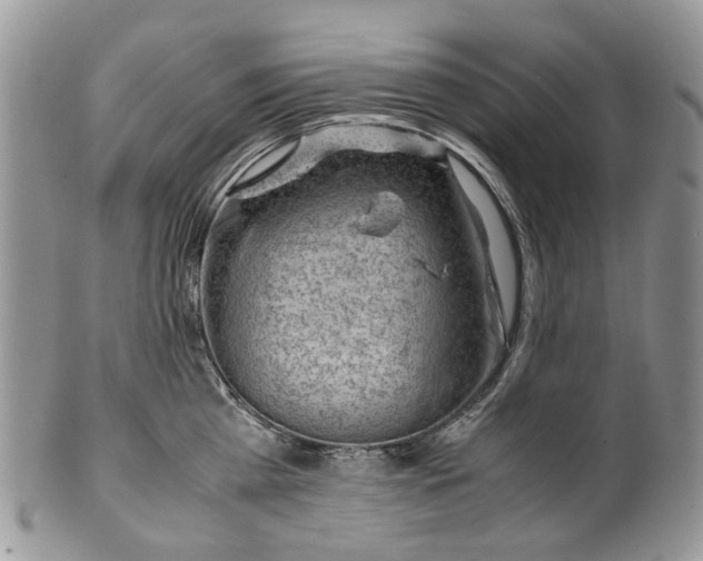 X0000099510809200806051146