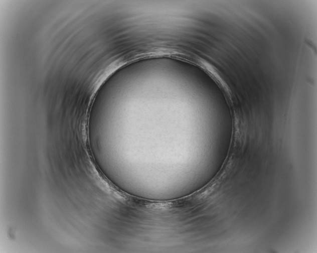 X0000099510810200806051145