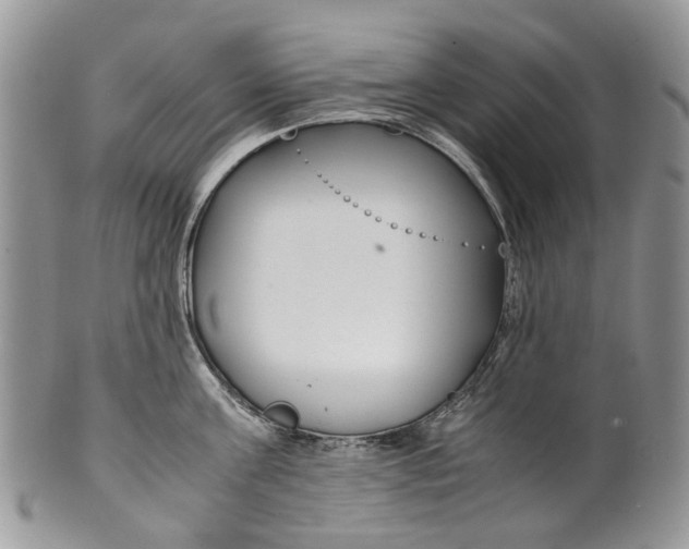 X0000099510811200806051145