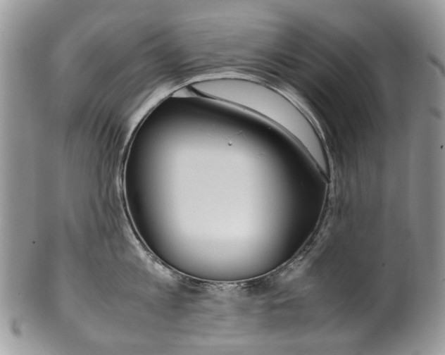 X0000099510813200806051145