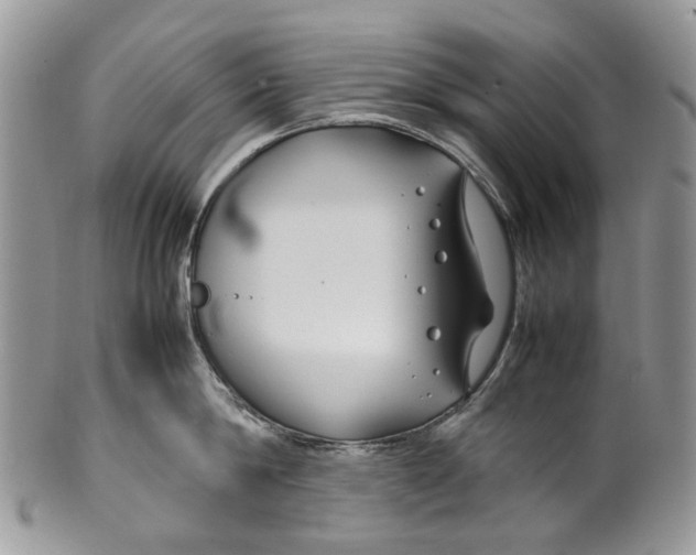 X0000099510814200806051145