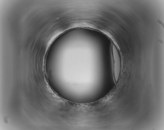 X0000099510815200806051145