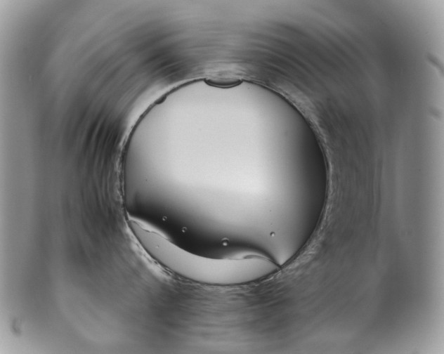 X0000099510816200806051145