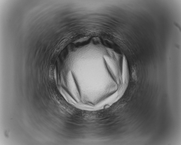 X0000099510819200806051145