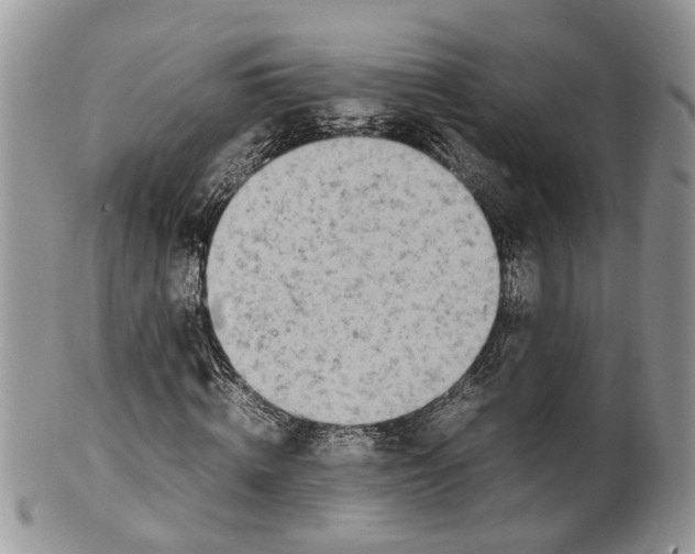 X0000099510820200806051145