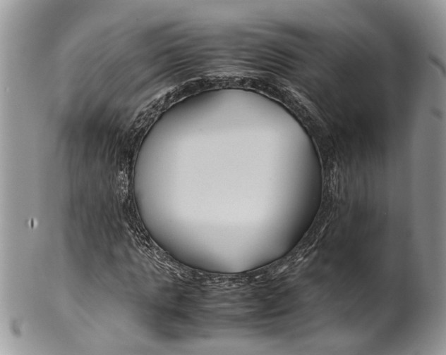 X0000099510821200806051145