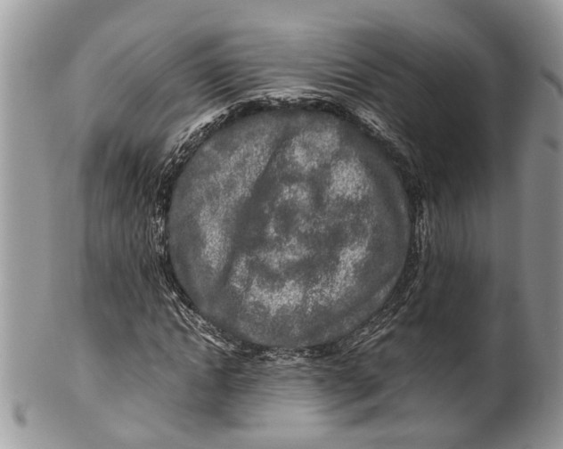 X0000099510822200806051145