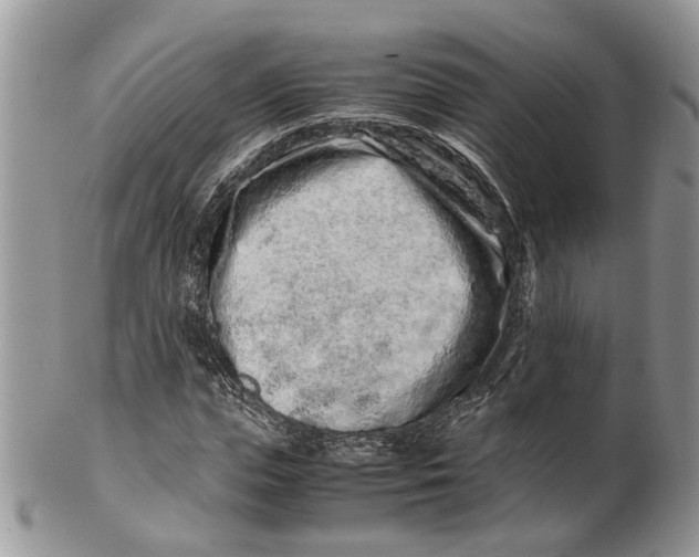 X0000099510823200806051145