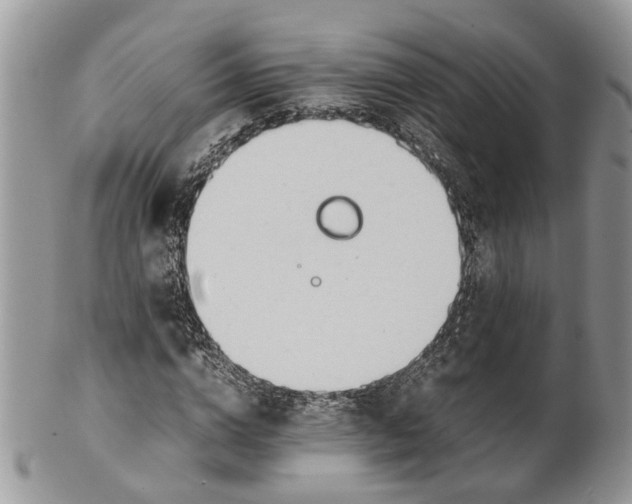 X0000099510824200806051145