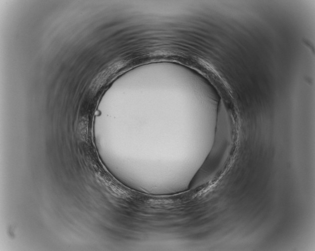 X0000099510825200806051145