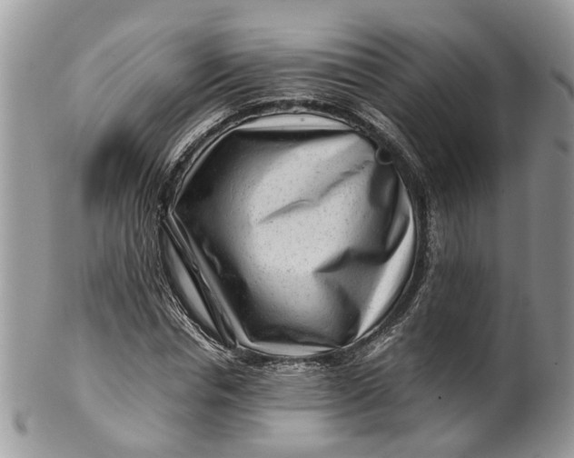 X0000099510826200806051145