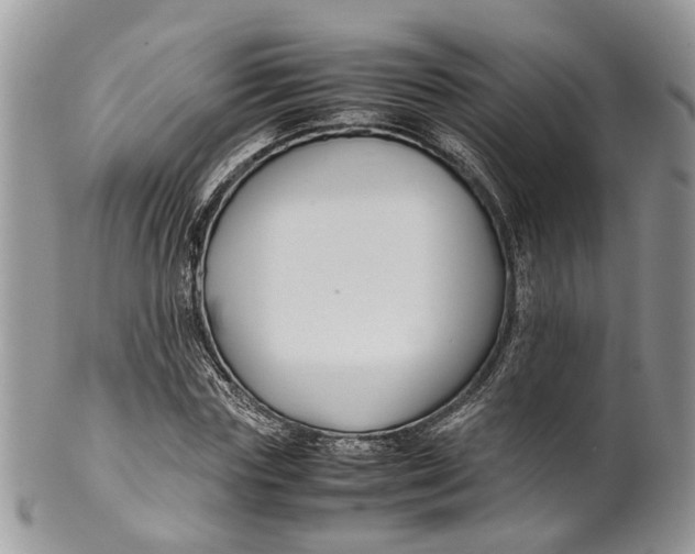 X0000099510827200806051145