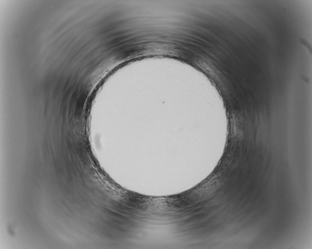 X0000099510828200806051145