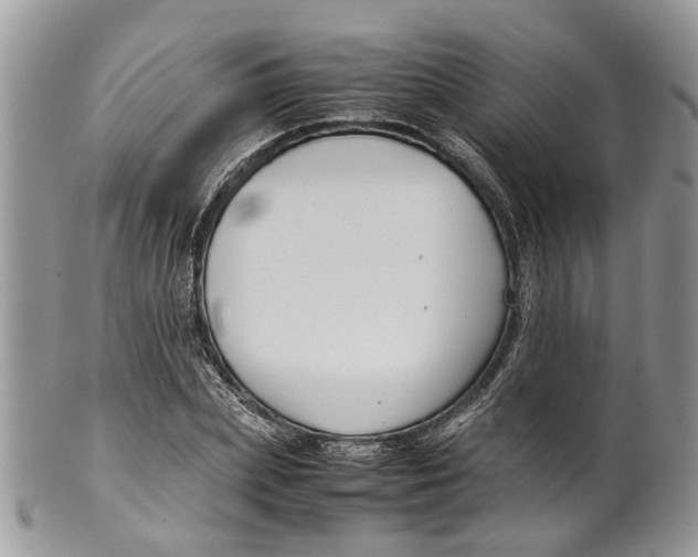 X0000099510831200806051145