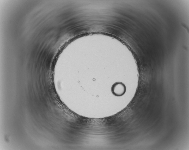 X0000099510832200806051145