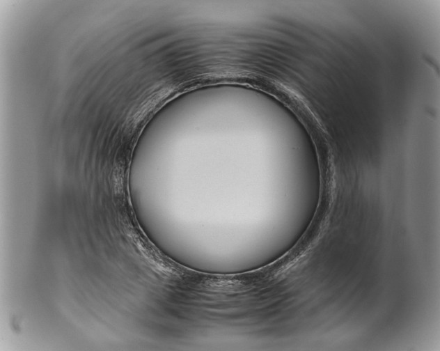 X0000099510833200806051145